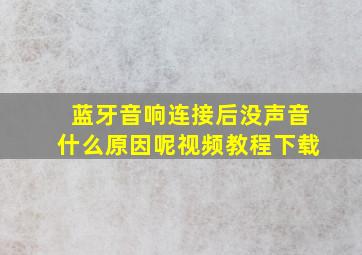 蓝牙音响连接后没声音什么原因呢视频教程下载