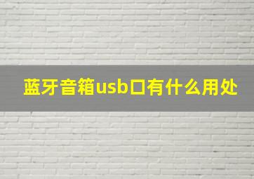 蓝牙音箱usb口有什么用处