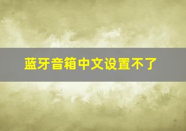 蓝牙音箱中文设置不了