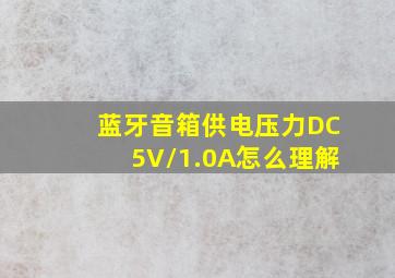 蓝牙音箱供电压力DC5V/1.0A怎么理解