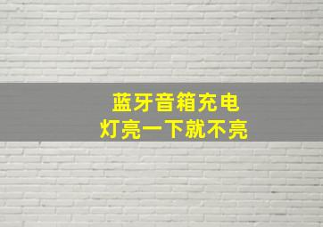 蓝牙音箱充电灯亮一下就不亮