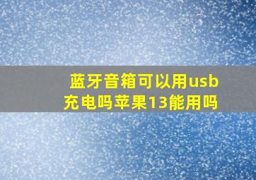 蓝牙音箱可以用usb充电吗苹果13能用吗