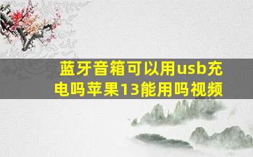 蓝牙音箱可以用usb充电吗苹果13能用吗视频