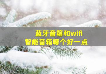 蓝牙音箱和wifi智能音箱哪个好一点