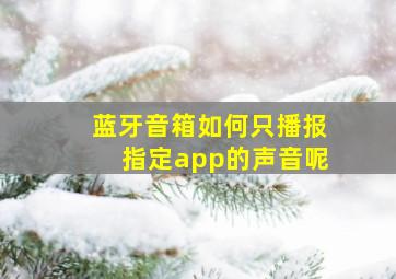 蓝牙音箱如何只播报指定app的声音呢