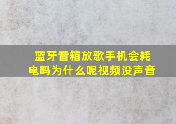 蓝牙音箱放歌手机会耗电吗为什么呢视频没声音