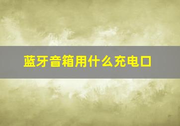 蓝牙音箱用什么充电口