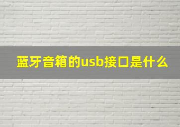 蓝牙音箱的usb接口是什么