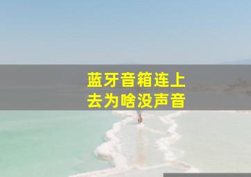 蓝牙音箱连上去为啥没声音