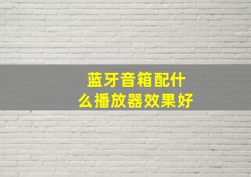 蓝牙音箱配什么播放器效果好