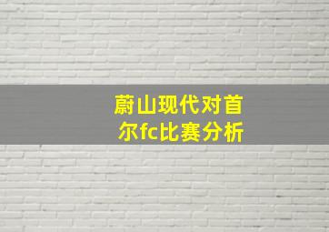 蔚山现代对首尔fc比赛分析