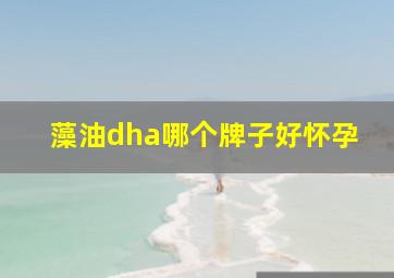 藻油dha哪个牌子好怀孕