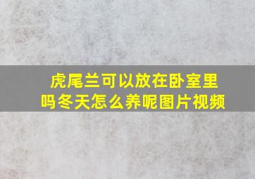 虎尾兰可以放在卧室里吗冬天怎么养呢图片视频