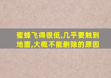 蜜蜂飞得很低,几乎要触到地面,大概不能删除的原因