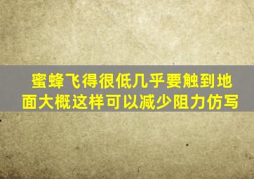 蜜蜂飞得很低几乎要触到地面大概这样可以减少阻力仿写