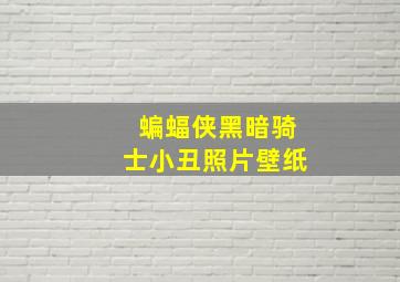 蝙蝠侠黑暗骑士小丑照片壁纸