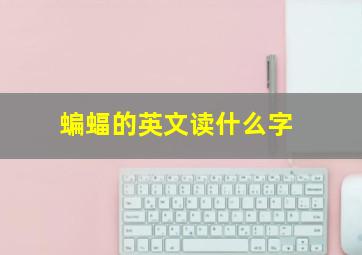 蝙蝠的英文读什么字