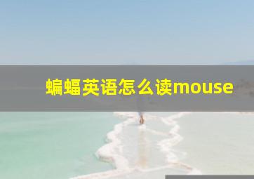 蝙蝠英语怎么读mouse