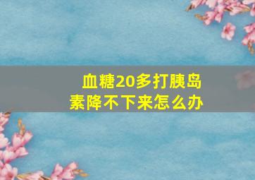 血糖20多打胰岛素降不下来怎么办