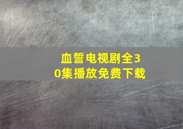 血誓电视剧全30集播放免费下载