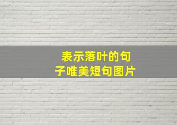 表示落叶的句子唯美短句图片