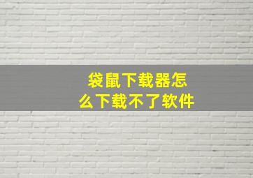 袋鼠下载器怎么下载不了软件