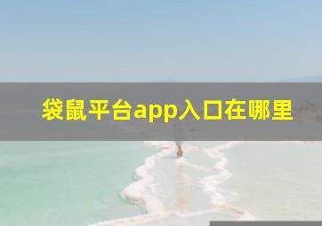 袋鼠平台app入口在哪里