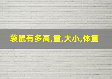 袋鼠有多高,重,大小,体重