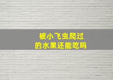 被小飞虫爬过的水果还能吃吗