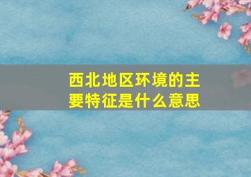 西北地区环境的主要特征是什么意思