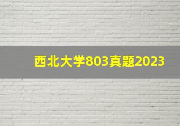 西北大学803真题2023