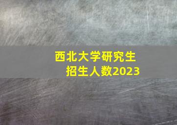 西北大学研究生招生人数2023