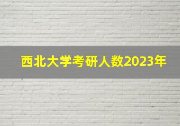 西北大学考研人数2023年