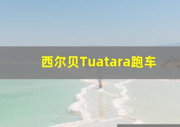 西尔贝Tuatara跑车