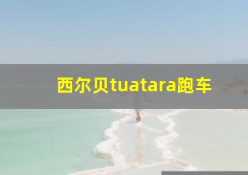 西尔贝tuatara跑车