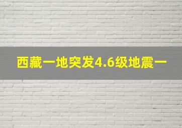 西藏一地突发4.6级地震一