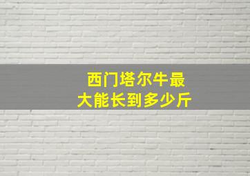 西门塔尔牛最大能长到多少斤