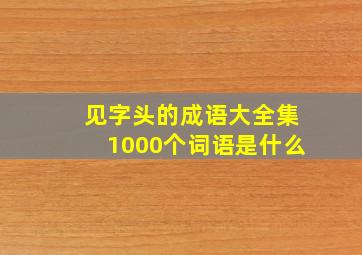 见字头的成语大全集1000个词语是什么