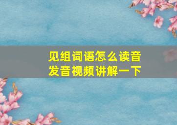 见组词语怎么读音发音视频讲解一下