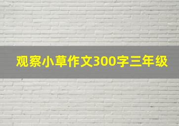 观察小草作文300字三年级