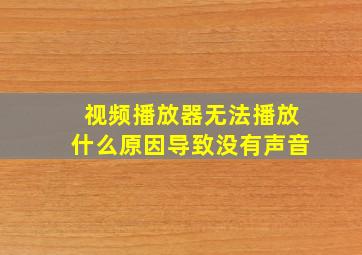 视频播放器无法播放什么原因导致没有声音