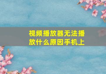 视频播放器无法播放什么原因手机上