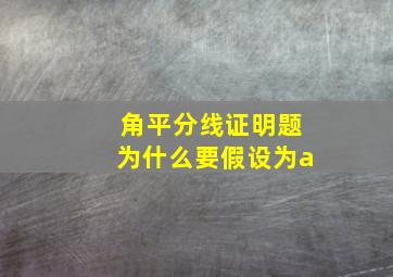 角平分线证明题为什么要假设为a