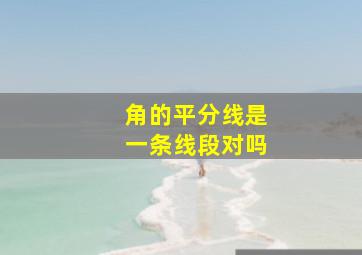 角的平分线是一条线段对吗