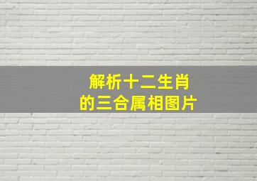 解析十二生肖的三合属相图片