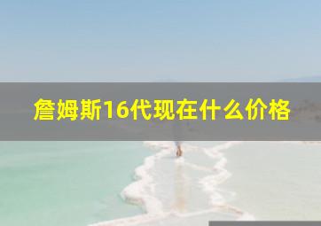 詹姆斯16代现在什么价格