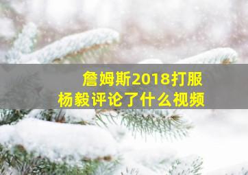 詹姆斯2018打服杨毅评论了什么视频