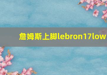 詹姆斯上脚lebron17low