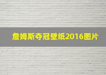 詹姆斯夺冠壁纸2016图片