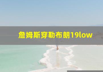 詹姆斯穿勒布朗19low